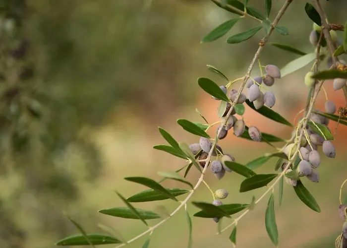 όμορφο παραθασυγκρότημα ενοικιαζόμενων καταλυμάτων ως ολόκληρος χώρος - Chrani, ελλάδαλάσσιο Casa de Férias Chrani
